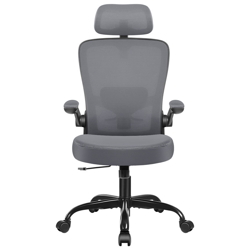 Everdene Office Ergonomic Task Chair, Dark Gray, Black