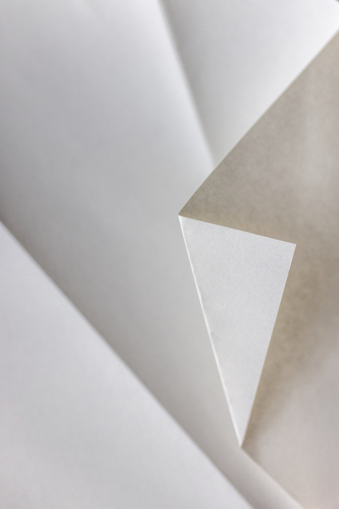 Ivy Bronx Paper Studies 21 | Wayfair.ie