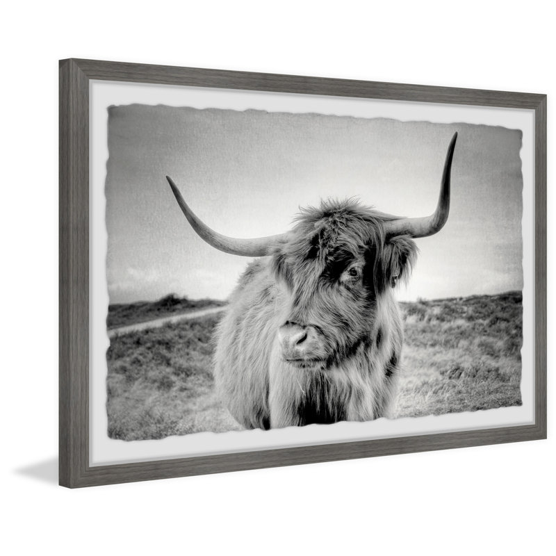 Away From Herd - Single Picture Frame Print, 20cm H x 30cm W x 3.81cm D