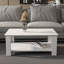 Leroy 90 cm Rectangular Coffee Table-1085909540