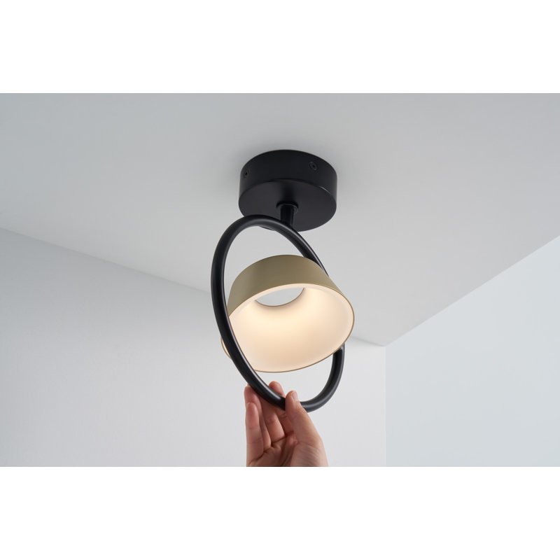 Olo Ring Wall Sconces, Matte Black/Champagne Gold, Champagne Gold