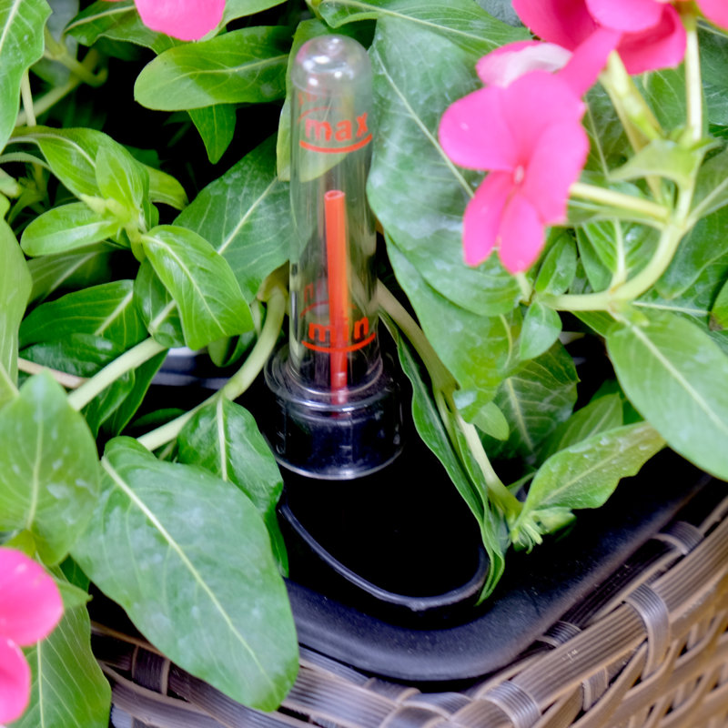 Anyce Pot Planter