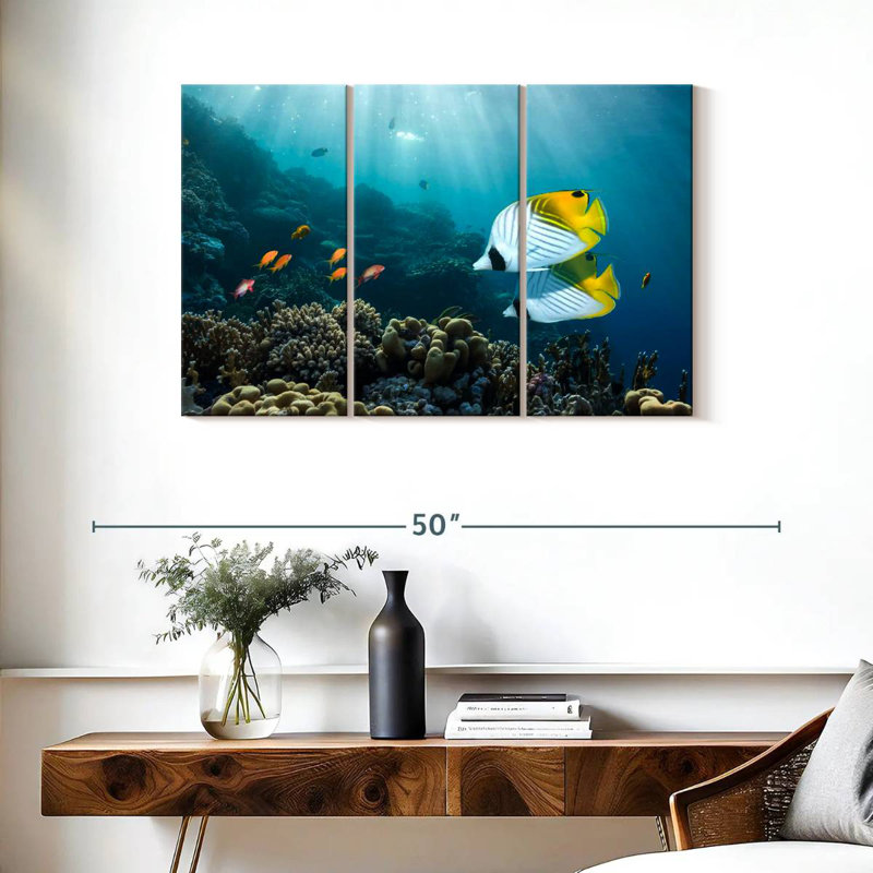 Poisson Brampt près du récif de corail, H 24 po x l 38 po