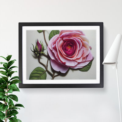 Extraordinary Rose Flower - Framed Print