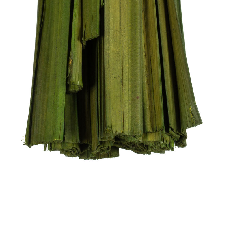 Primrue 36-40" Sable Grass, 7 oz Bundle, Dried, Foliage Green