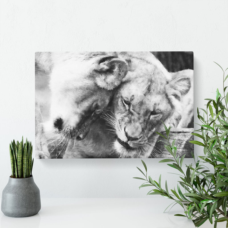 Two Snuggling Lions Painting - Wrapped Canvas, 50cm H x 76cm W x 3cm D