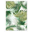 Plam Beachy Print-26233576