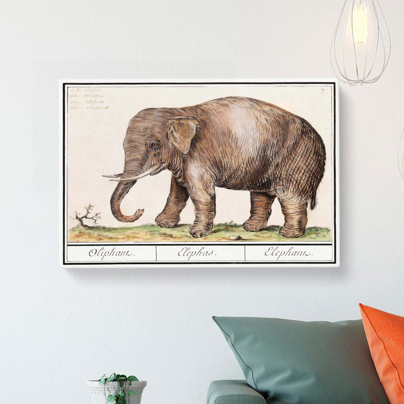 Asian Elephant by A.B. de Boodt - Wrapped Canvas, 35cm H x 50cm W x 3cm D
