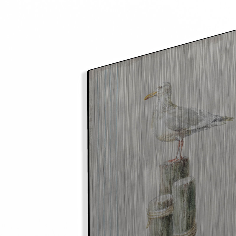 Highland Dunes «Floursack Nautical 13 No Words» par Danhui Nai, art mural en métal, H 16 po x l 16 po