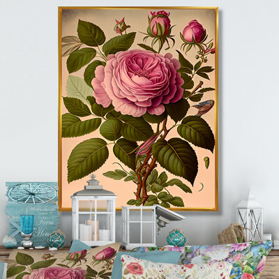 " Blossoming Vintage Rose I "