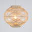 1 - Light Natural Pendant