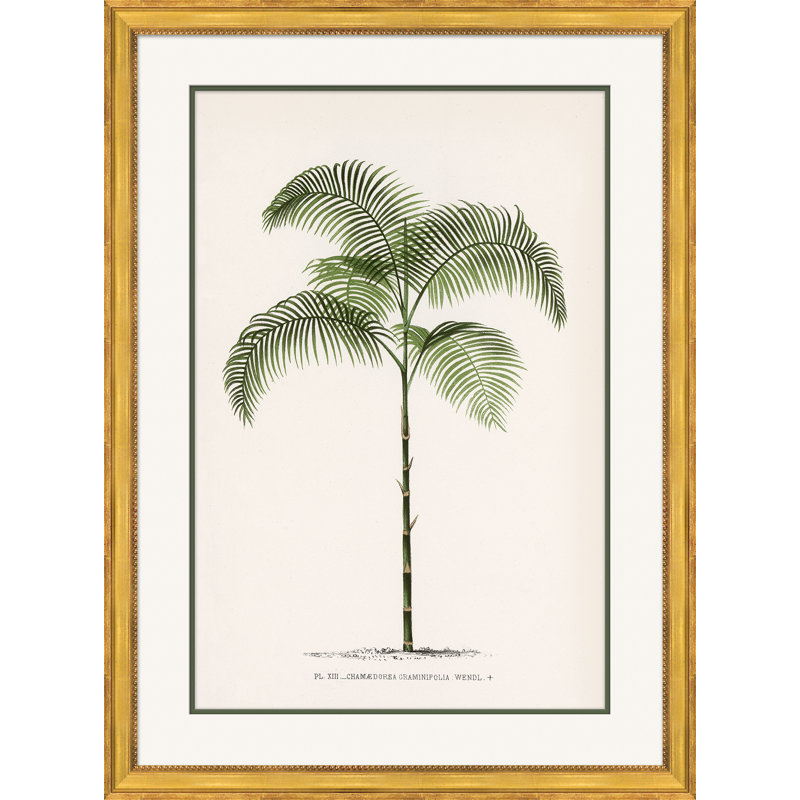 «Palms 1» - Peinture encadrée sur papier