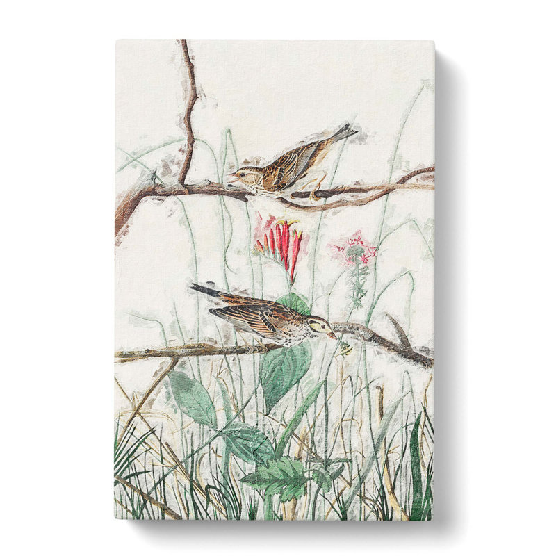 Savannah Finches by John Audubon - Wrapped Canvas Print, 76cm H x 50cm W x 3cm D