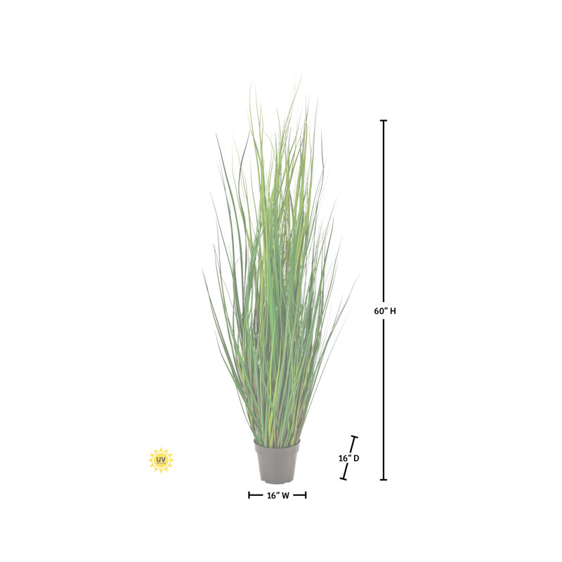 Herbe 60 po, 60 in x 14 in