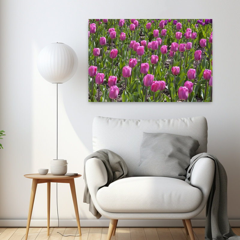 Gros plan sur des fleurs de tulipes dans un jardin, parc Cantigny, Wheaton, Illinois, États-Unis, art mural de fleurs de tulipes
