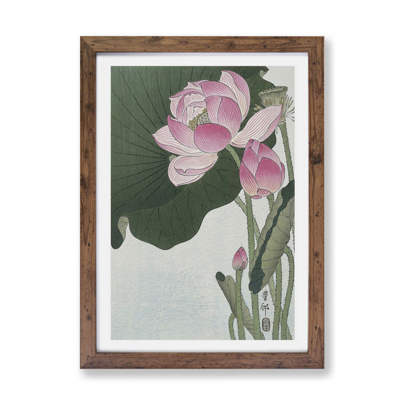 Pink Lotus Flower by Ohara Koson - Framed Print, 24cm H x 33cm W x 2cm D, Walnut