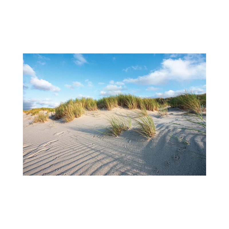Sand Dunes Near The North Sea Coast by Jan Becke - Wrapped Canvas Print, 66.04 cm H x 45.72 cm W