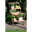 Althia Wood Plant Stand