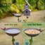 Bain d'oiseaux en métal Certie