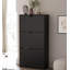 9 Pair Shoe Storage Cabinet