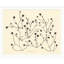 Curb Feelers Print by Susan Hable