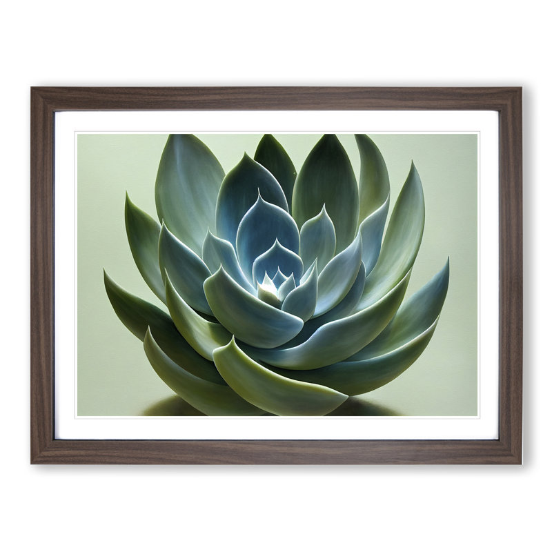 Graceful Succulent Plant - Single Picture Frame Print, 25cm H x 34cm W x 2cm D, Walnut Framed