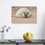 Adorable Seal Pup Contemporary Animal Beach Wall Art Print 1 Piece Wrapped Canvas Wall Art-38674636