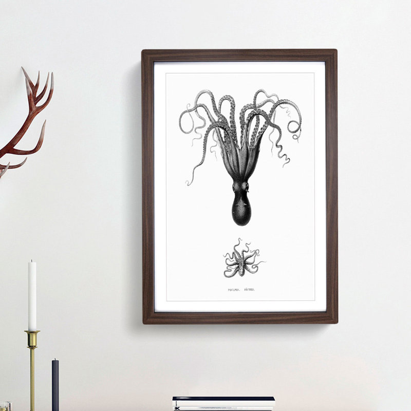 Vintage Octopus Illustration by E.F. Jomard - Picture Frame Drawing Print, 36cm H x 27cm W x 2cm D, Walnut Framed