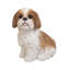 Statue chien assis Shih Tzu-96432508
