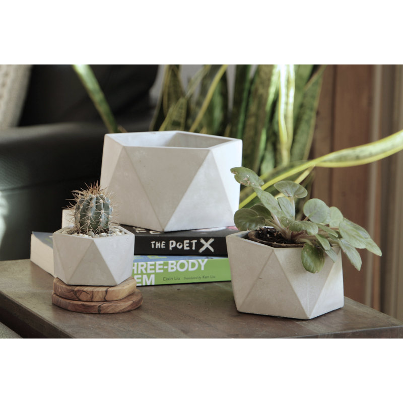 Pot de fleurs pentagonal géométrique en béton (lot de 12) - Argenté pour extérieur, 12