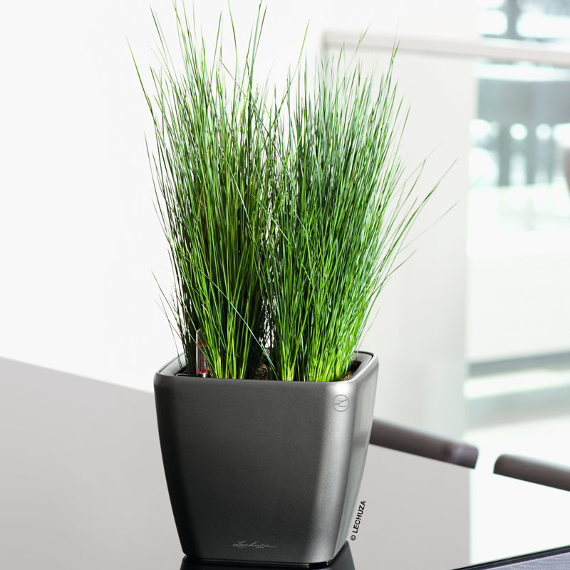 Quadro Premium Pot Planter, Taupe, 26cm H x 28cm W x 28cm D