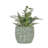 Leaf Pattern Planter
