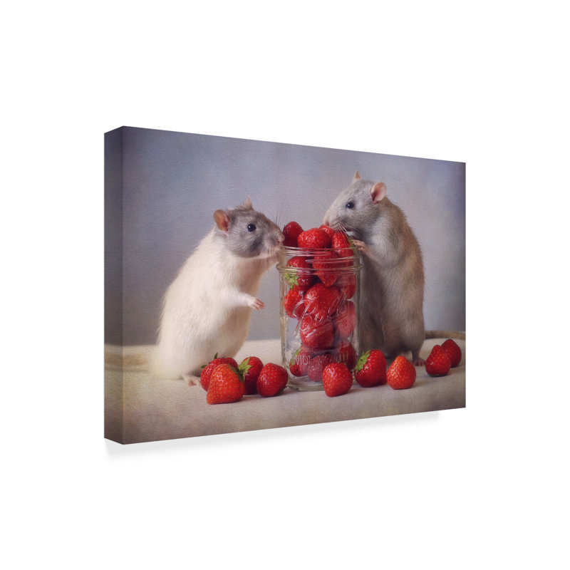 'Rats Strawberries' Photographic Print on Wrapped Canvas, 30" H x 47" W x 2" D