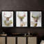 Collection Holiday Deer B - Toile tendue avec châssis sur mesure - 3 pièces-117239139-117239140
