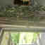 Customer photo 3 of 3