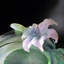 Twelve Blooms Handmade Plants & Flowers Figurines & Sculptures