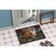Non-Slip Outdoor Doormat-16655642