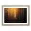 Forest at Sunset in Abstract - Picture Frame Painting Print-55723507-55723506