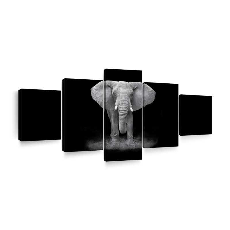 " Elephant Zone " 5 - Pieces, 24" H x 55" W x 1.25" D
