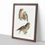 Owls by J.E. De Kay - Framed Print-55616659-55616660