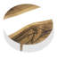 Gamba Di Legno Coffee Table-2091172394-2091172393