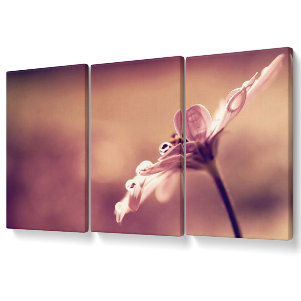 Ebern Designs Stunning Dewdrop Haze - 3 Piece Wrapped Canvas Print ...