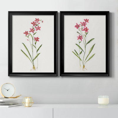 Delicate Pink I - ensemble de 2 reproductions d'art sur toile encadrées