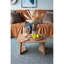 Table basse carrée de salon en brun classique avec plateau en bois naturel, teck de 27,6 po et décor en rotin