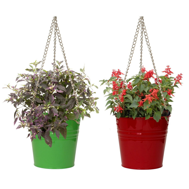 Arnkell Metal Hanging Planter, Apple Green/Red