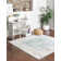 Edson Oriental Indoor Rug