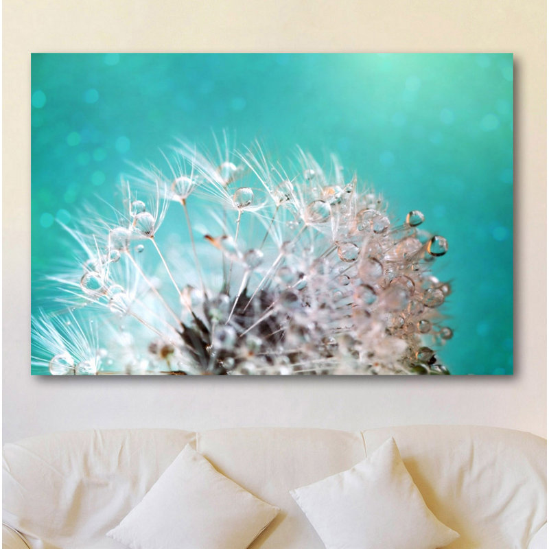 « dandelion two » par sylvia cook-reproduction de photo sur toile tendue, H 16 po x l 24 po x P 1,5 po