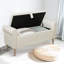 Banc de rangement à dessus rabattable avec repose-pieds en velours Dritarastra-18634528
