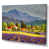 Wrapped Canvas