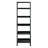 Danikka Ladder Bookcase